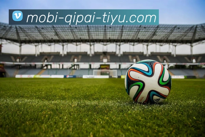 开元棋牌APP 封面图